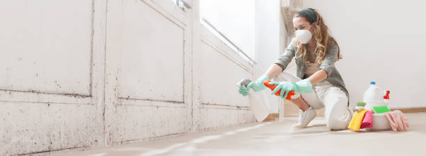 Mold Documentation for Insurance Claims